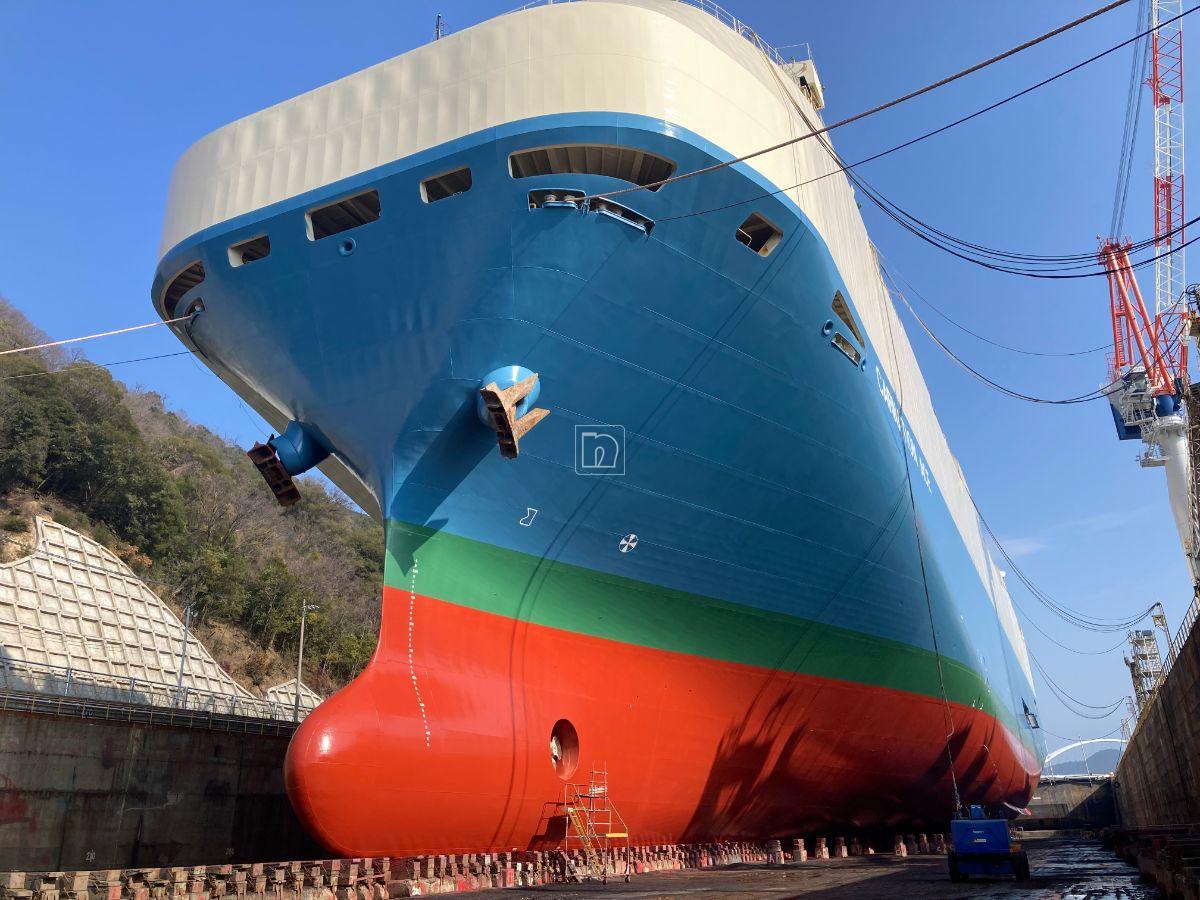 Project Ref - Carnation Ace - 20250730 - 01