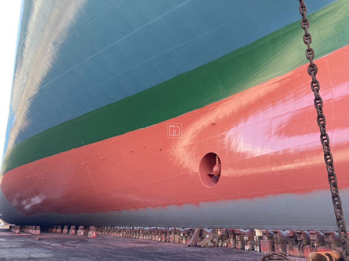 Project Ref - Carnation Ace - 20250730 - 02