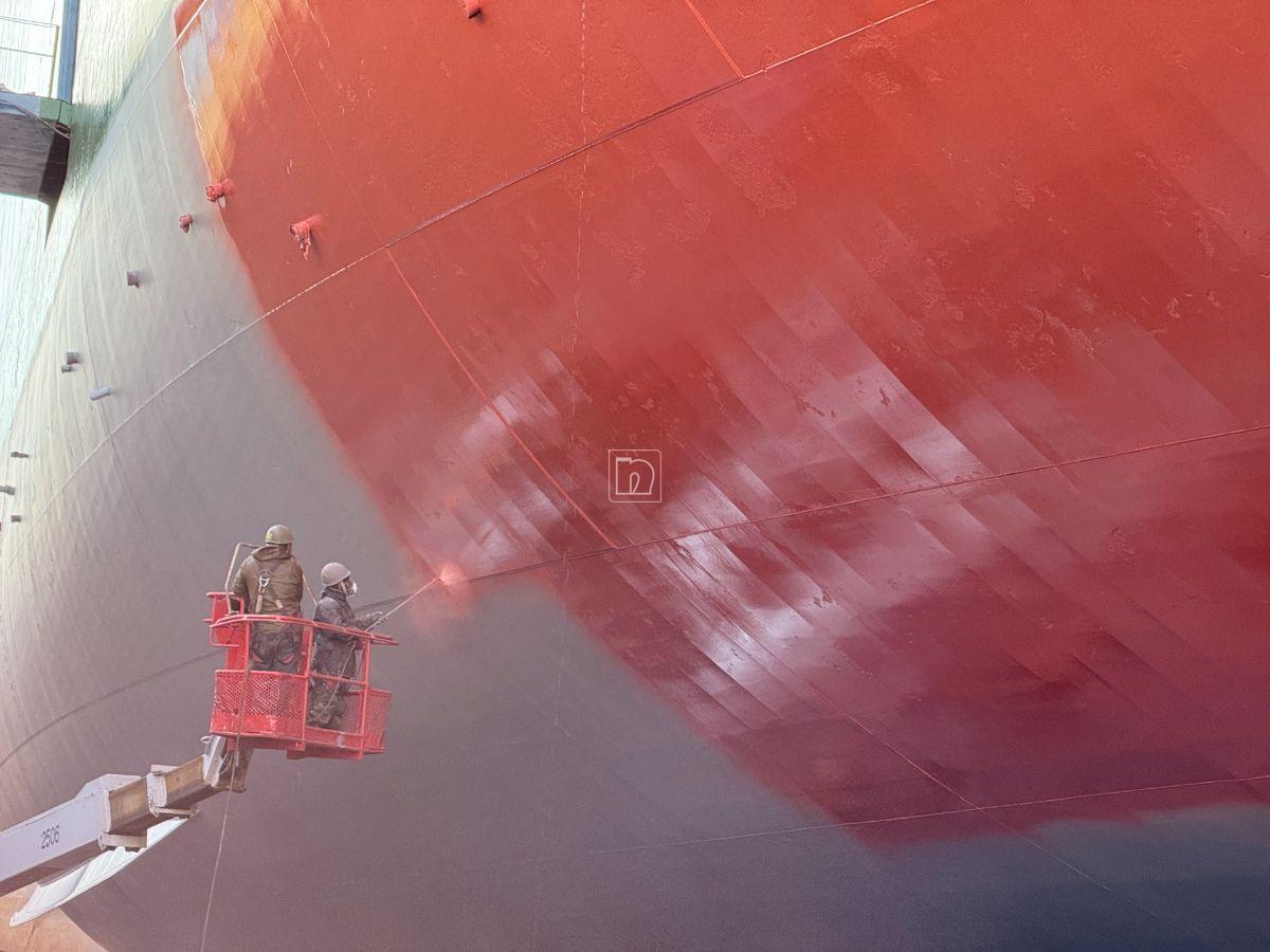 Project Ref - Carnation Ace - 20250730 - 03