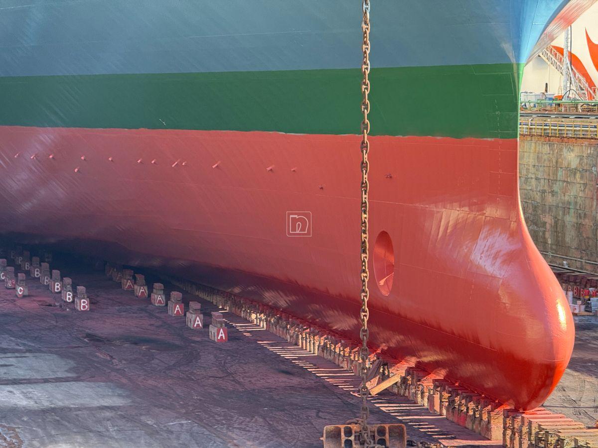 Project Ref - Carnation Ace - 20250730 - 04